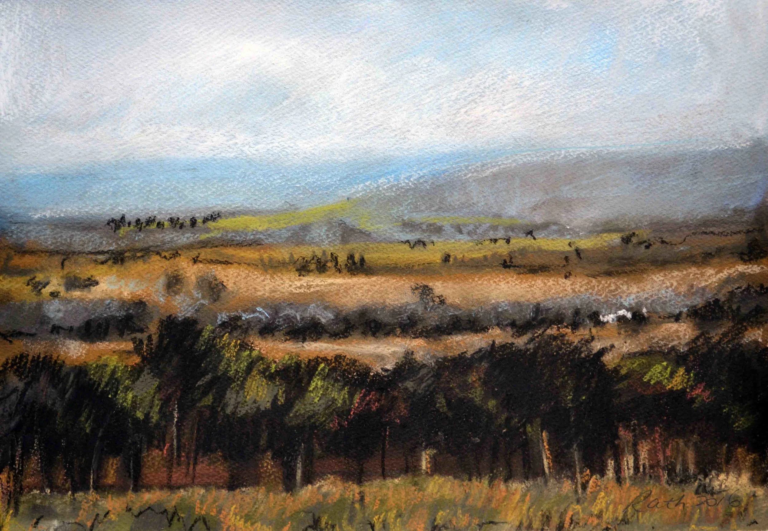 Misty Morning Light, 2016