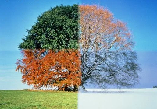 season-change.jpg