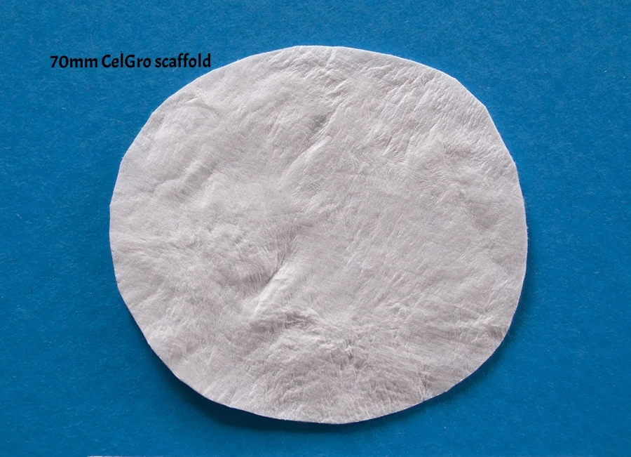 Ortho celgro 03a RTP_6057.jpg