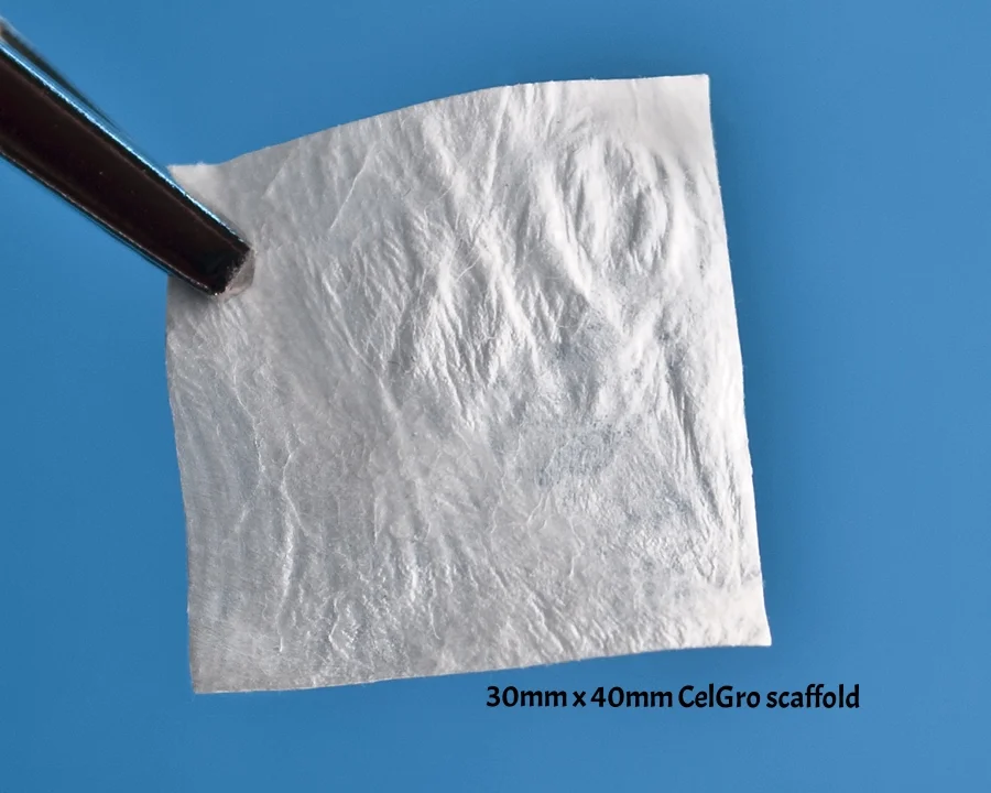 Ortho 01b RTP_6091.jpg