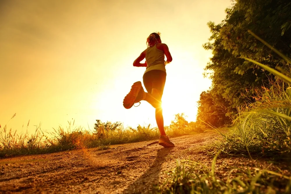     Sustaining Performance      Latest News  