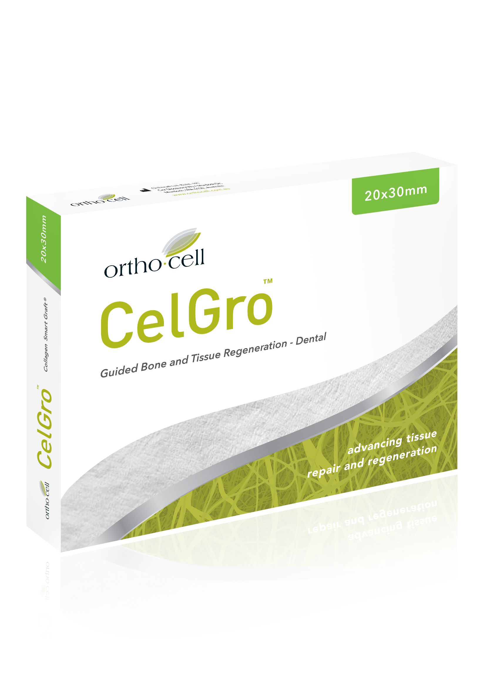 ORTHO201904_BoxMockup_NoBackground copy.png