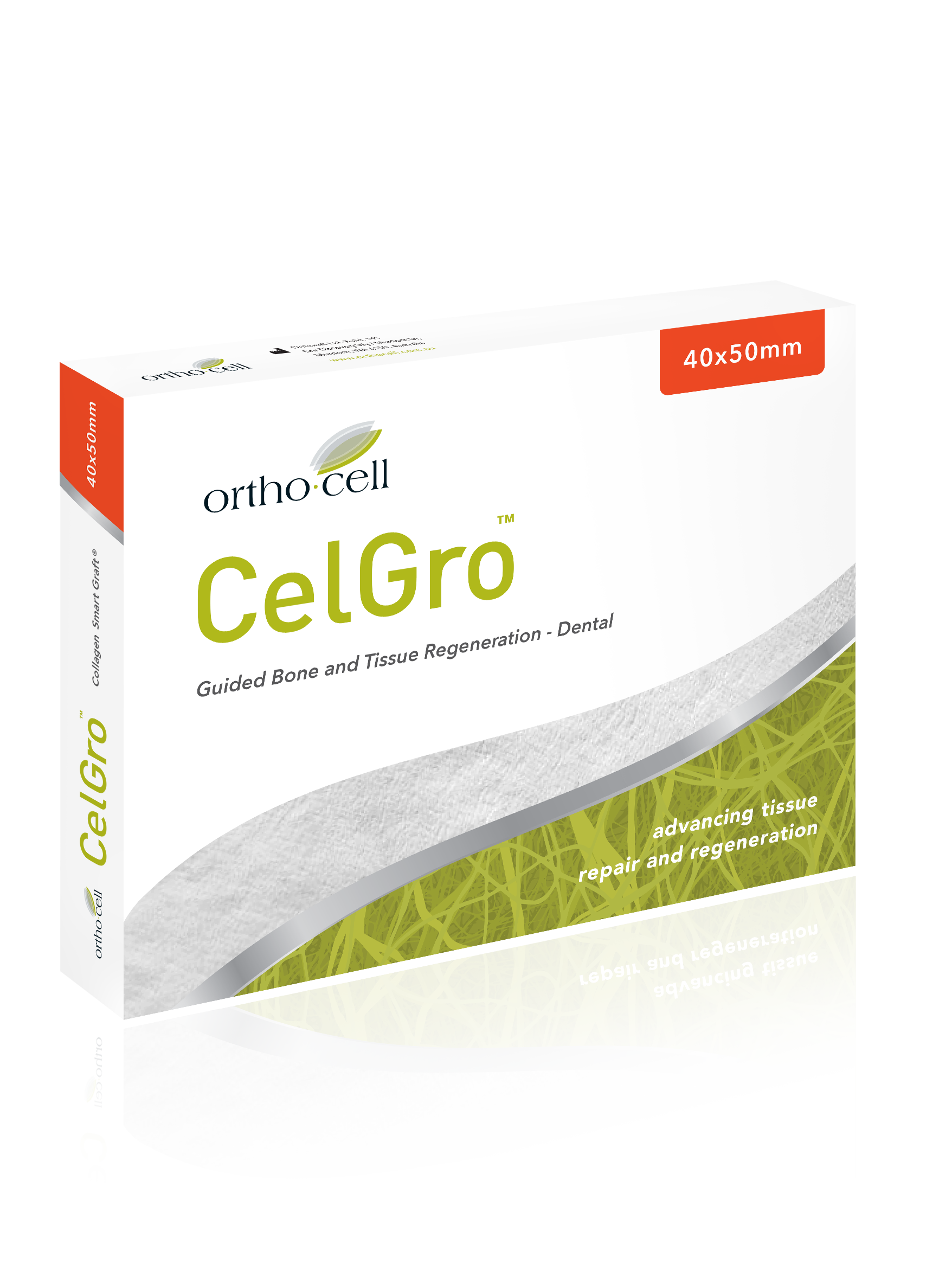 ORTHO201904_BoxMockup_NoBackground copy.png