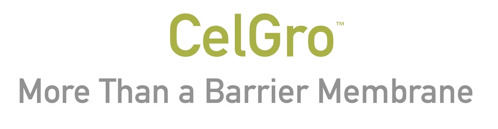 Celgro Logo 2.jpg