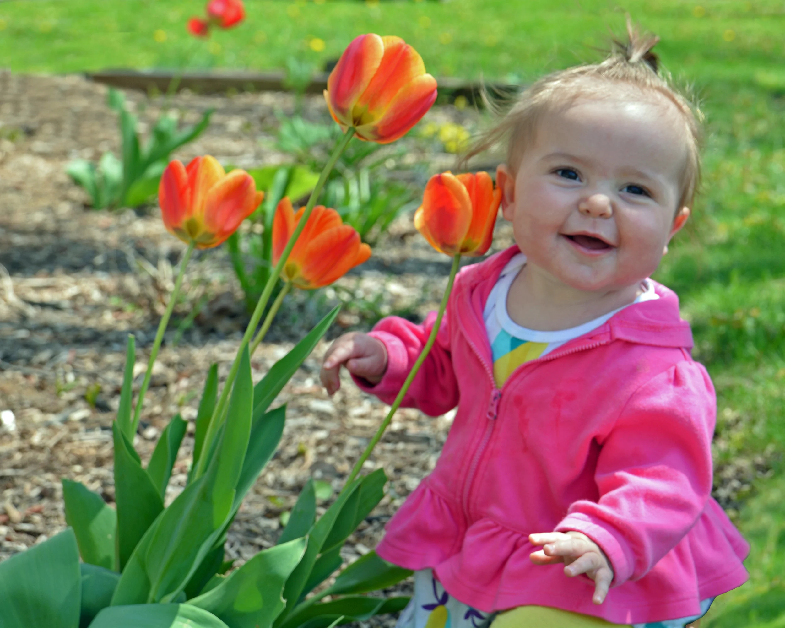 Stella Flowers.jpg
