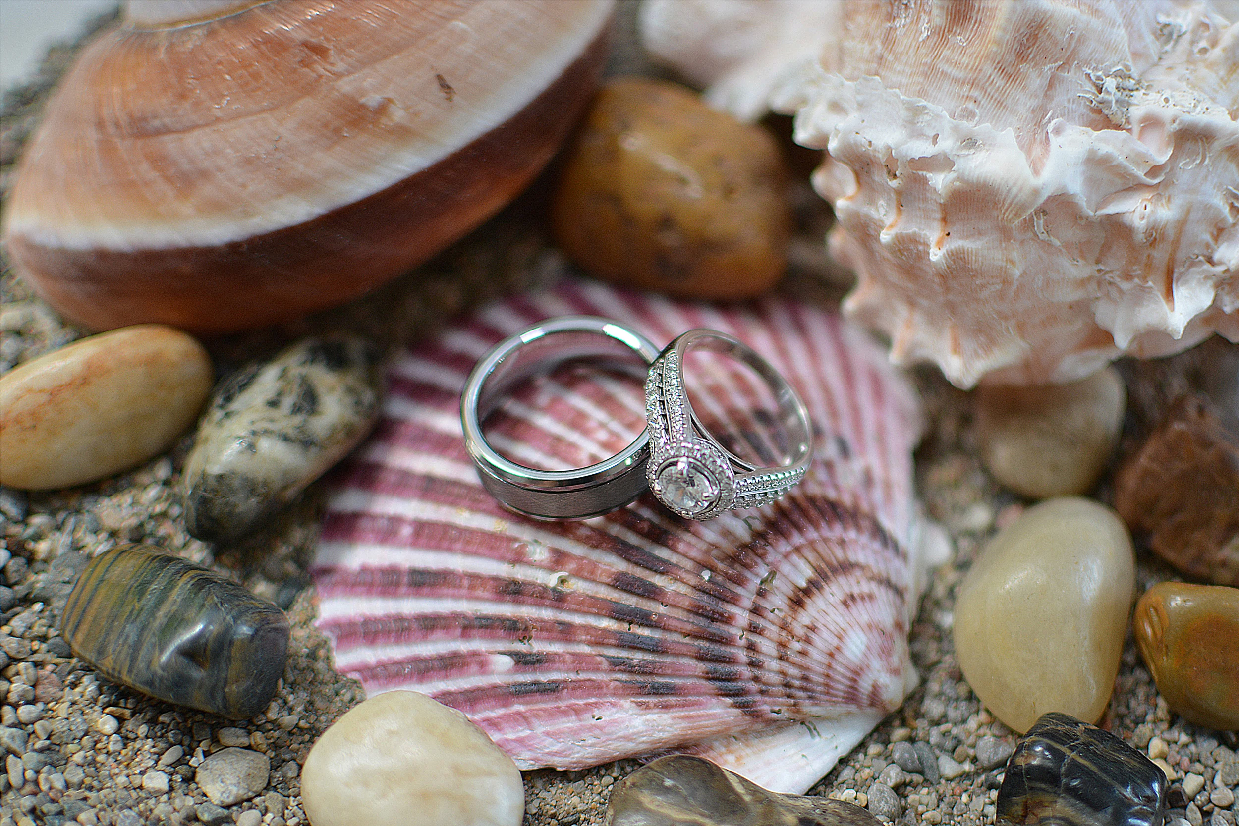 001 Rings.jpg
