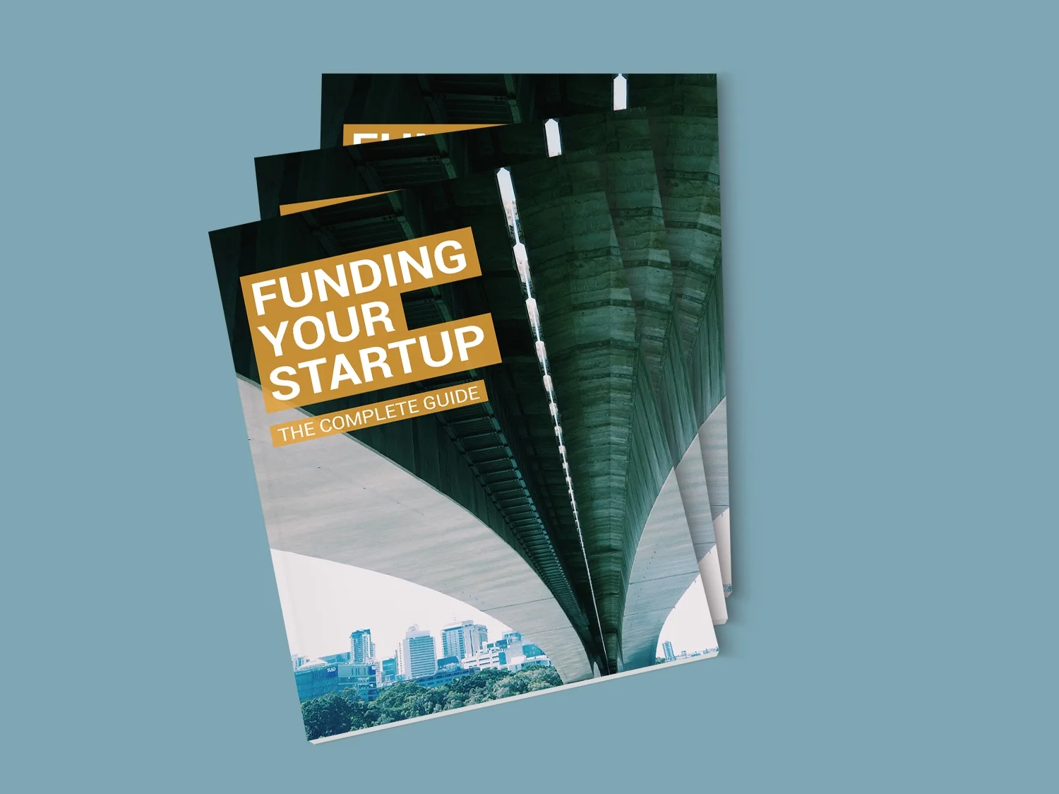 StartUp WP front.jpg