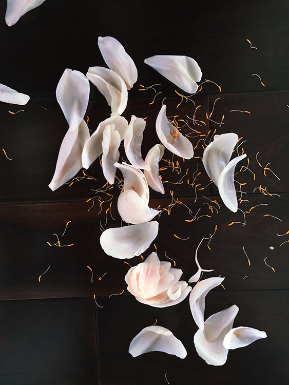 Lekha Singh – Petals – 2016 – Aluminum Photographic Print