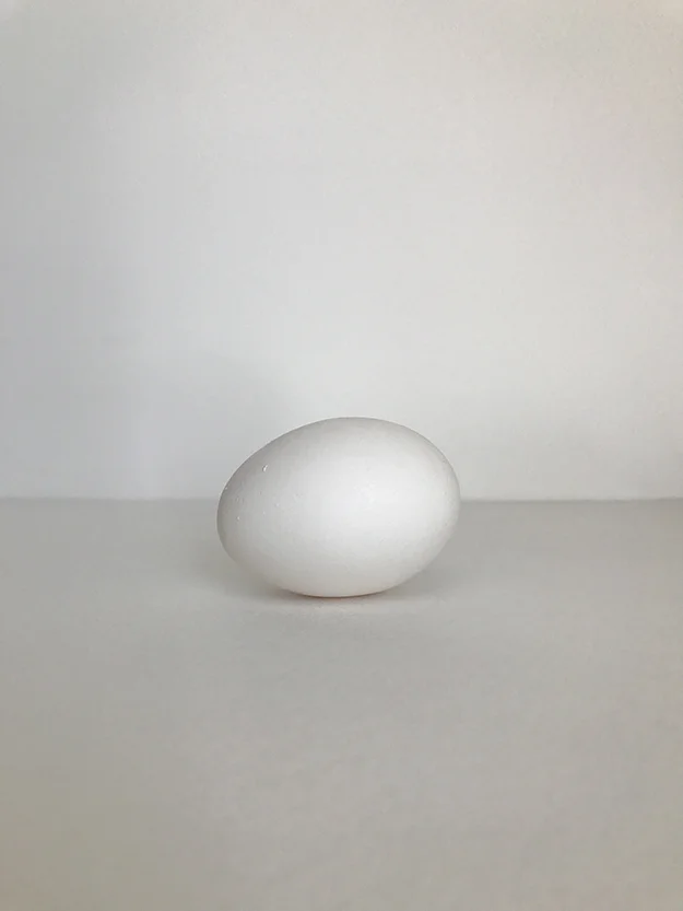 Lekha Singh – egg – 2017 – giclée on archival paper