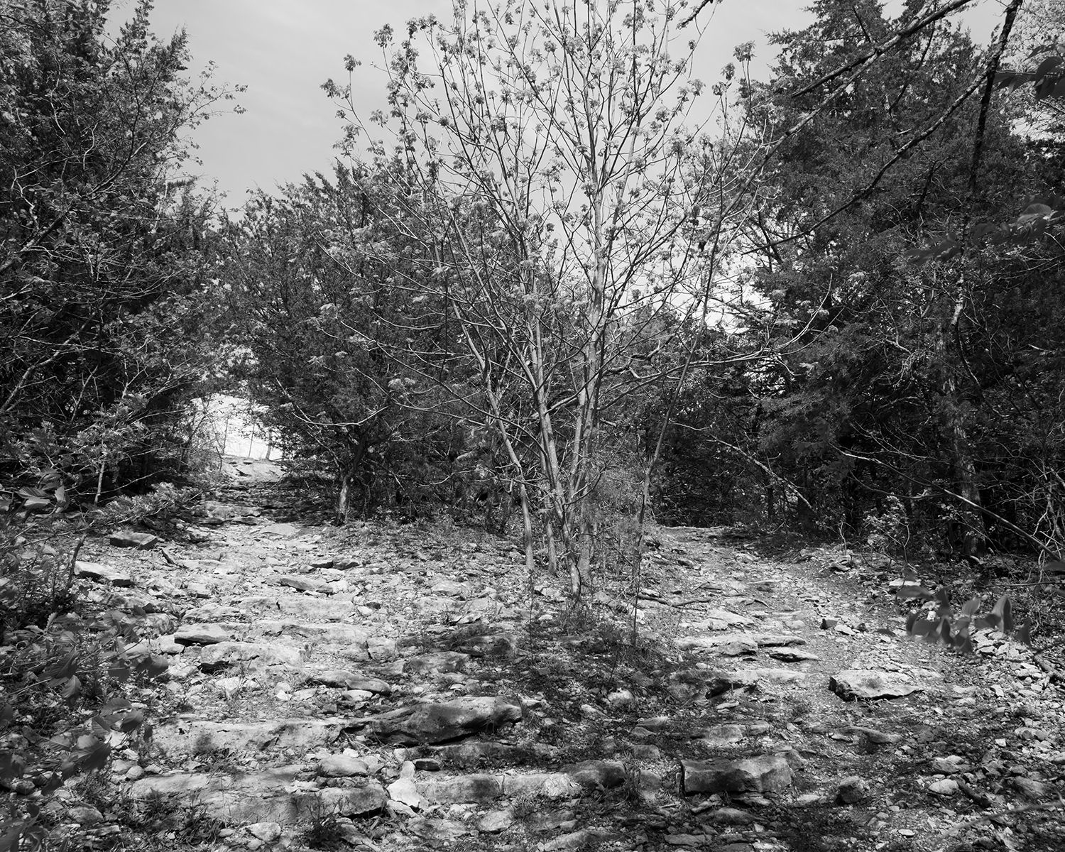 Two Paths, Cedar Valley Reservoir, Garnett, Kansas, 2016