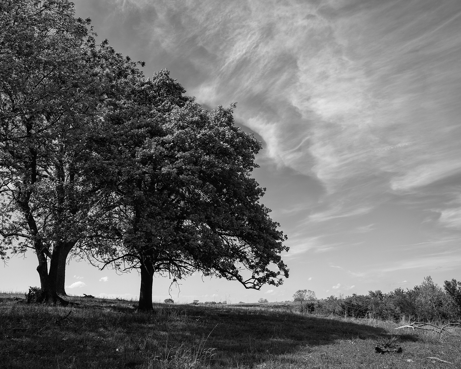 Hillside, Anderson County, 2016