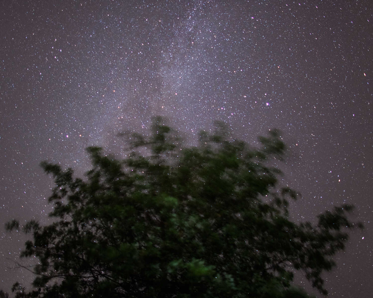 Oak and The Milky Way, Baldwin City, Kansas, 2014
