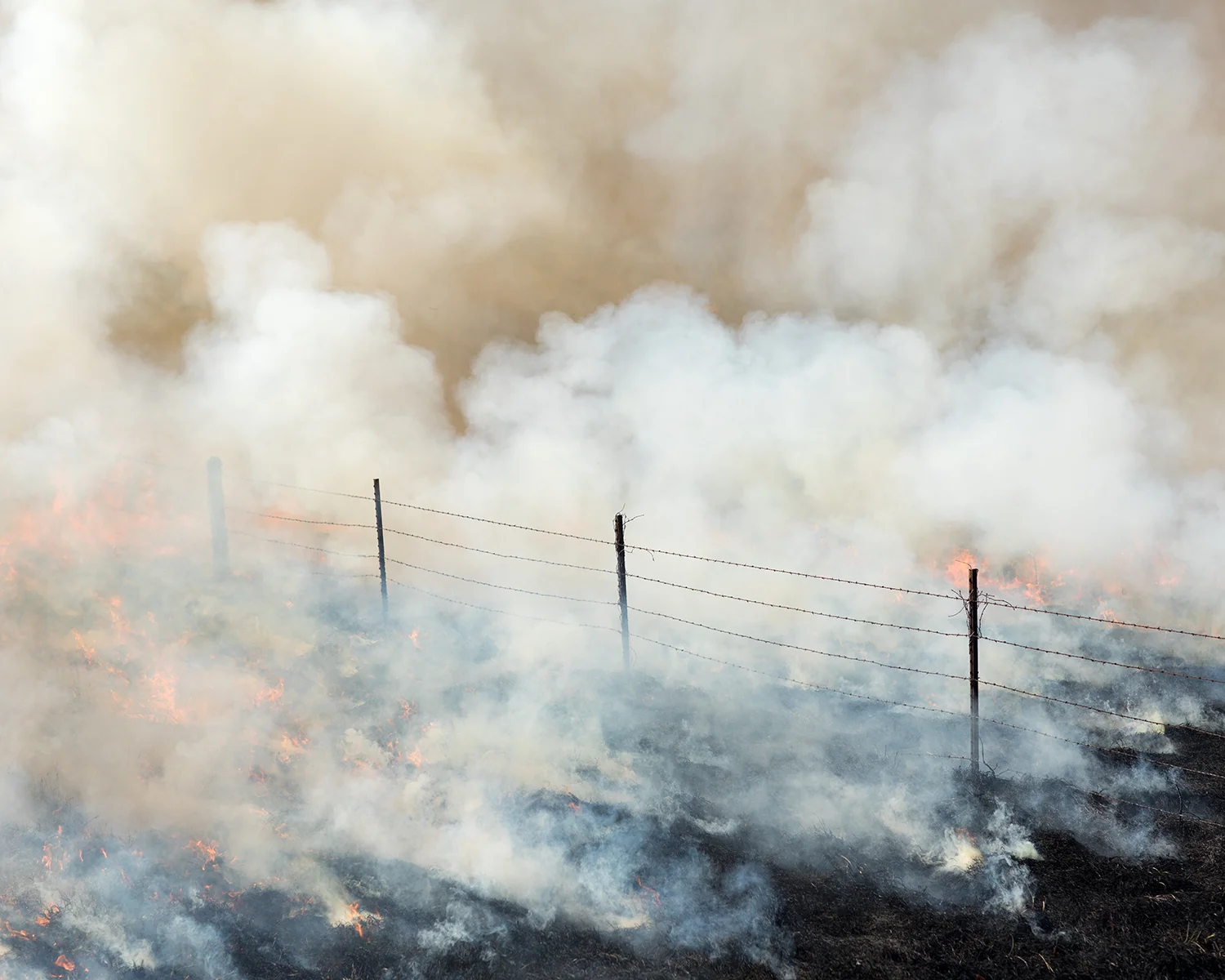 SpringFire031917177.jpg