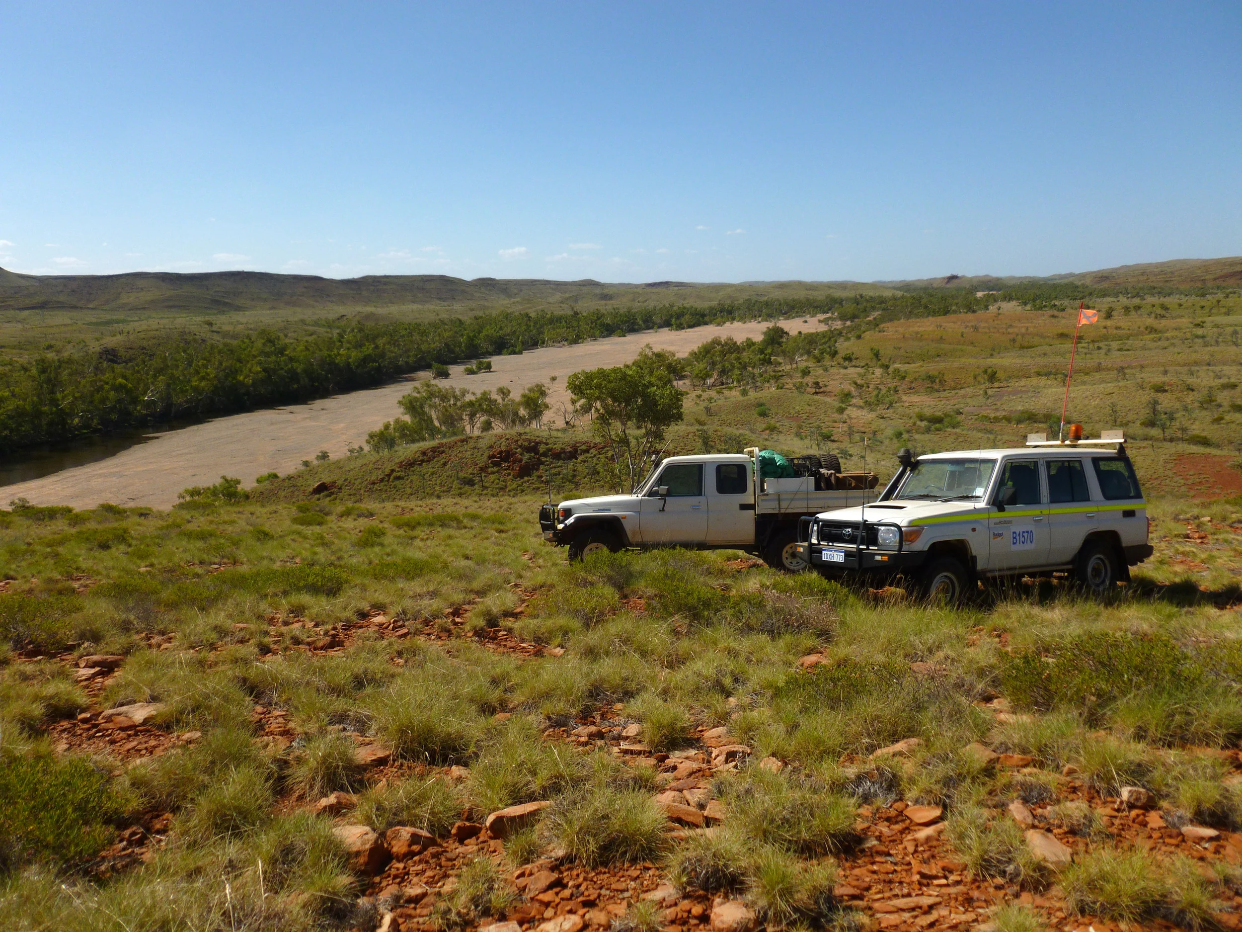 light vehicles.jpg