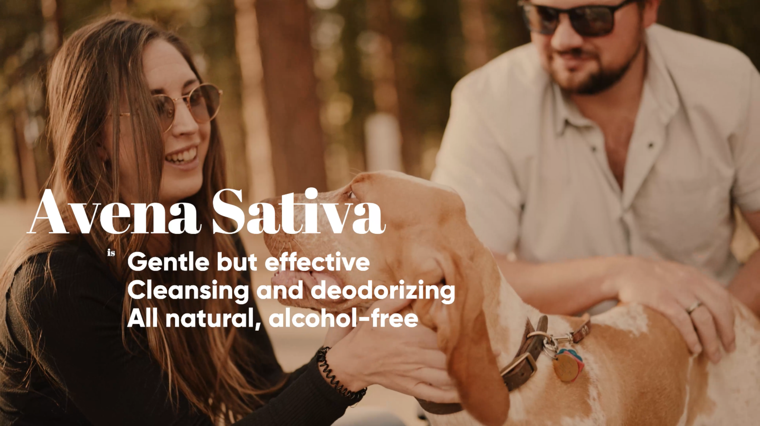 Screenshot 2024-03-02 at 3.07.50 PM.png