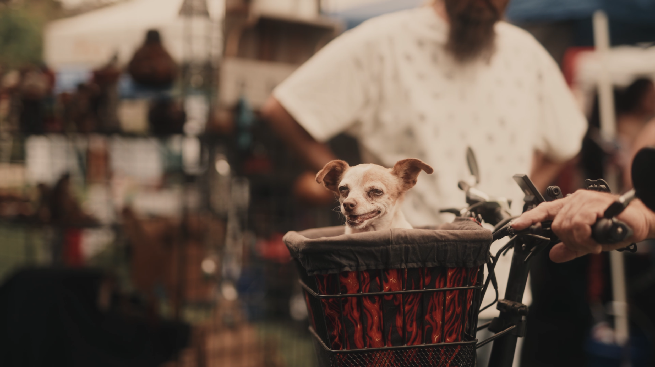 Screenshot 2024-03-02 at 3.19.42 PM.png