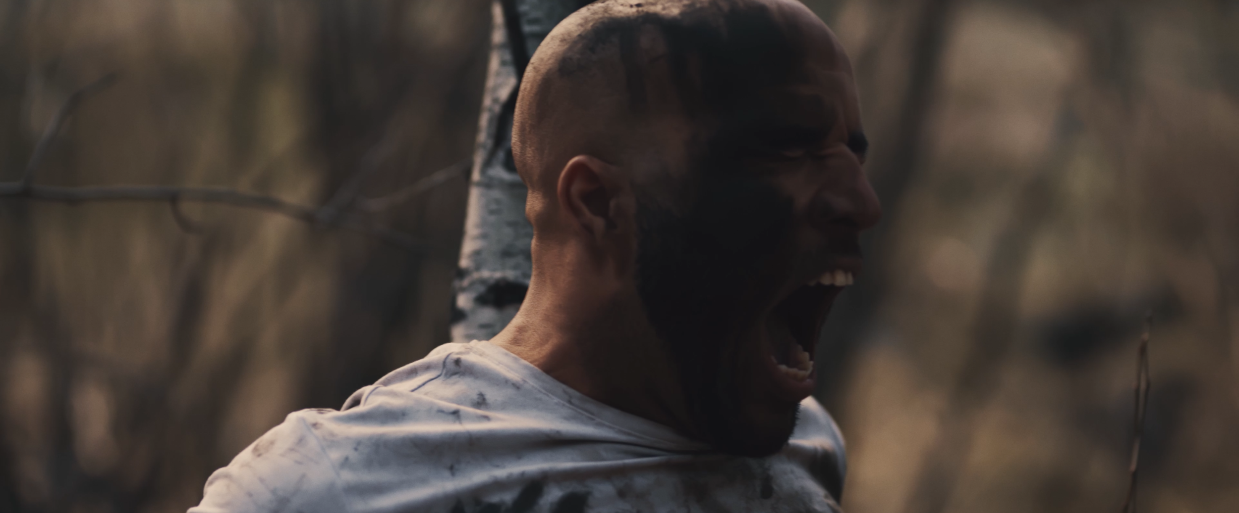 Screenshot 2024-03-02 at 2.53.44 PM.png