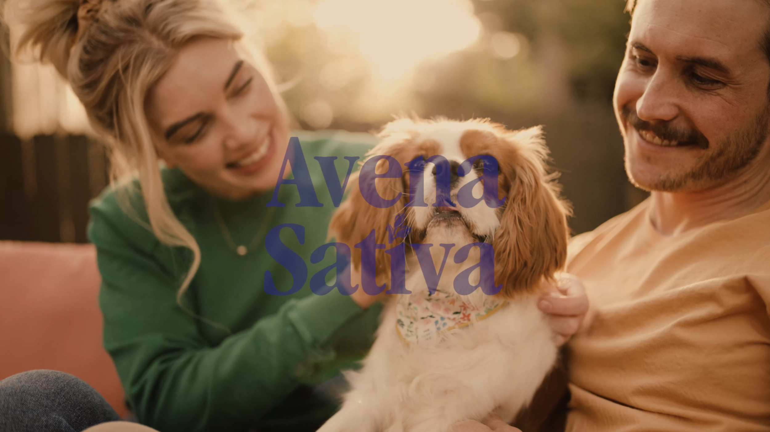 Screenshot 2024-03-02 at 3.06.58 PM.png