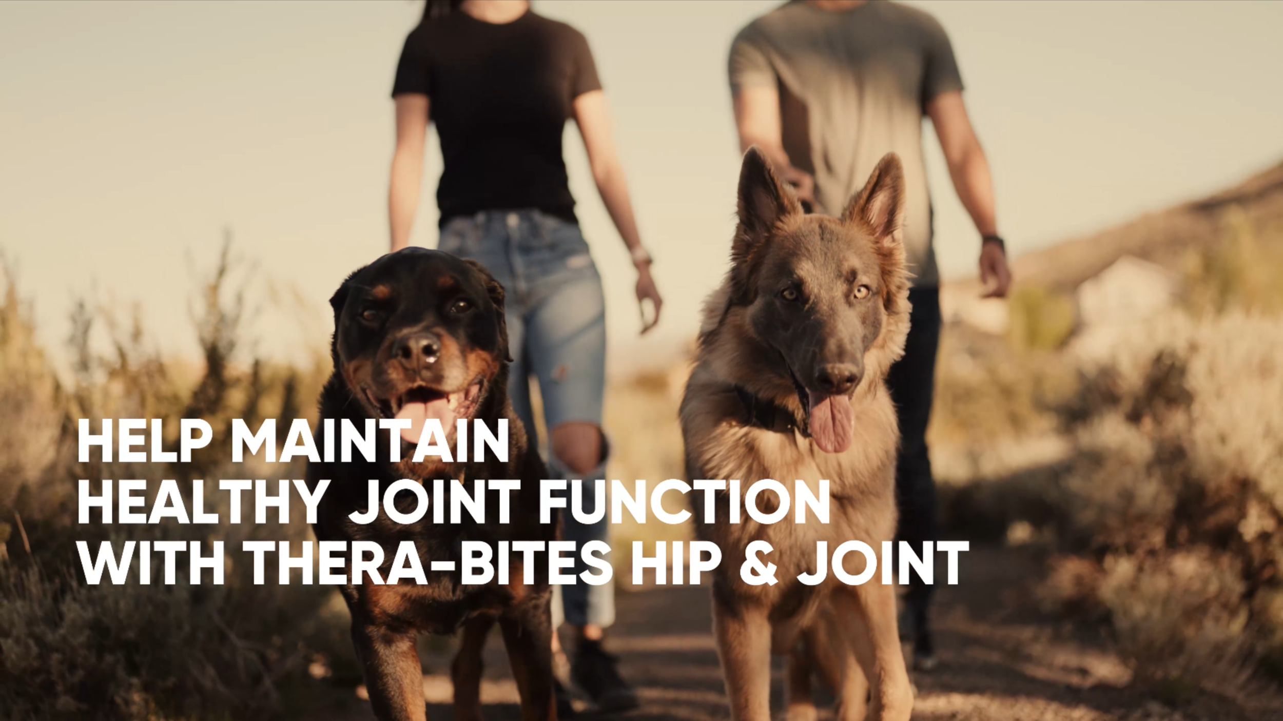 Screenshot 2024-03-02 at 3.09.14 PM.png