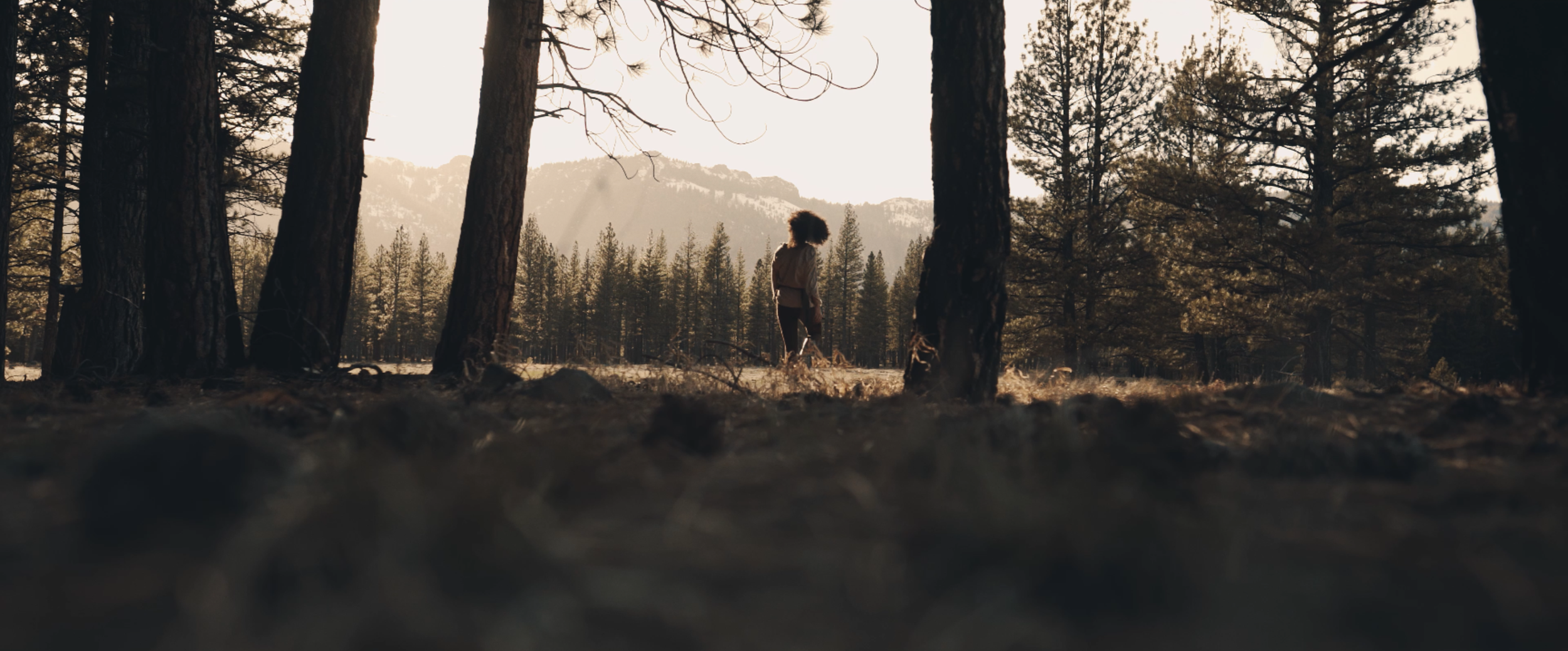 Screenshot 2024-03-02 at 2.56.05 PM.png