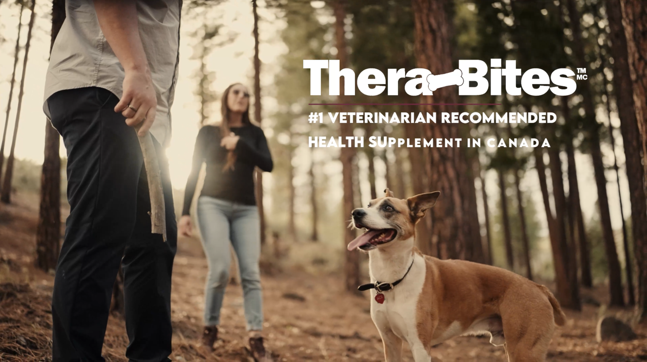 Screenshot 2024-03-02 at 3.08.26 PM.png