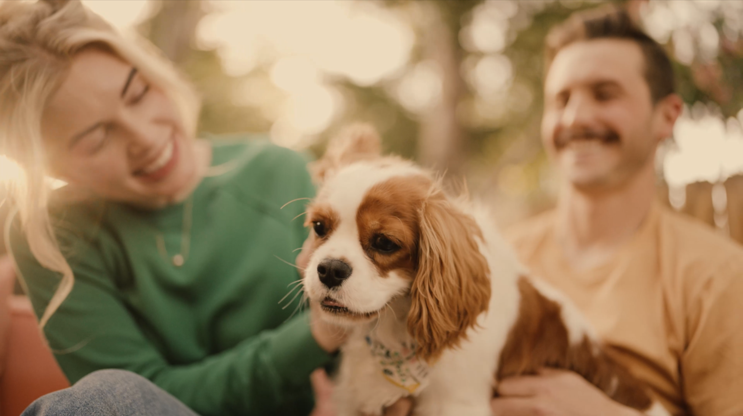 Screenshot 2024-03-02 at 3.07.22 PM.png