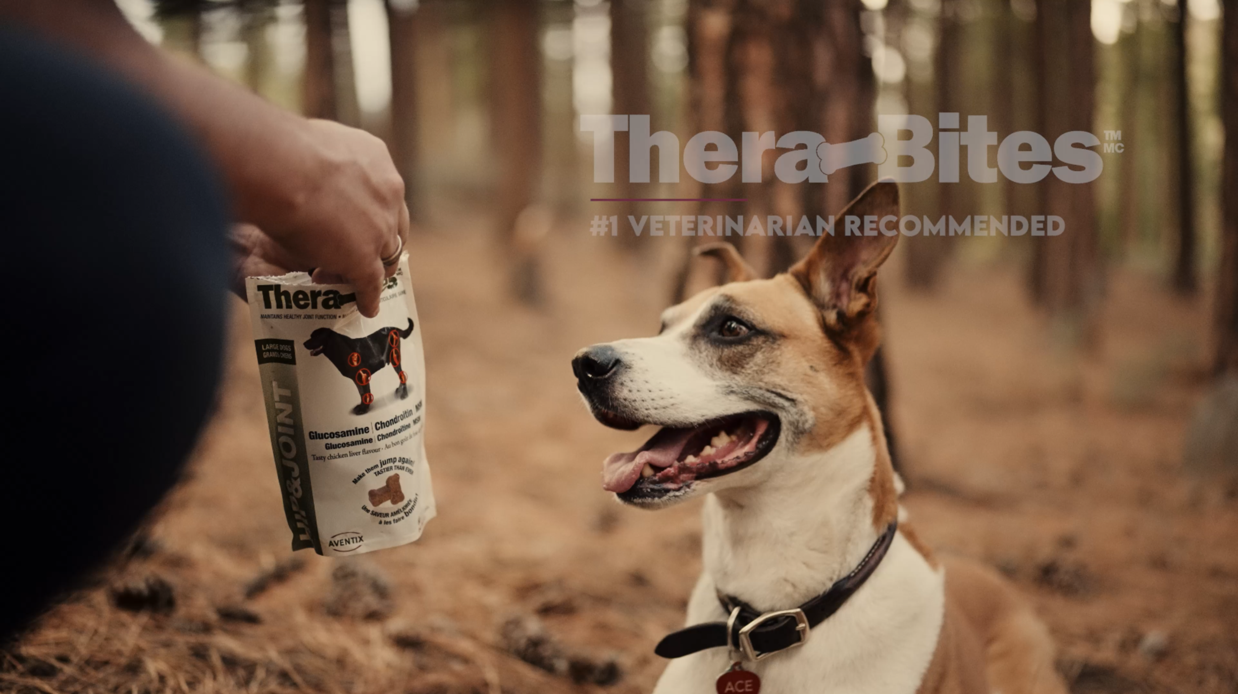 Screenshot 2024-03-02 at 3.08.43 PM.png