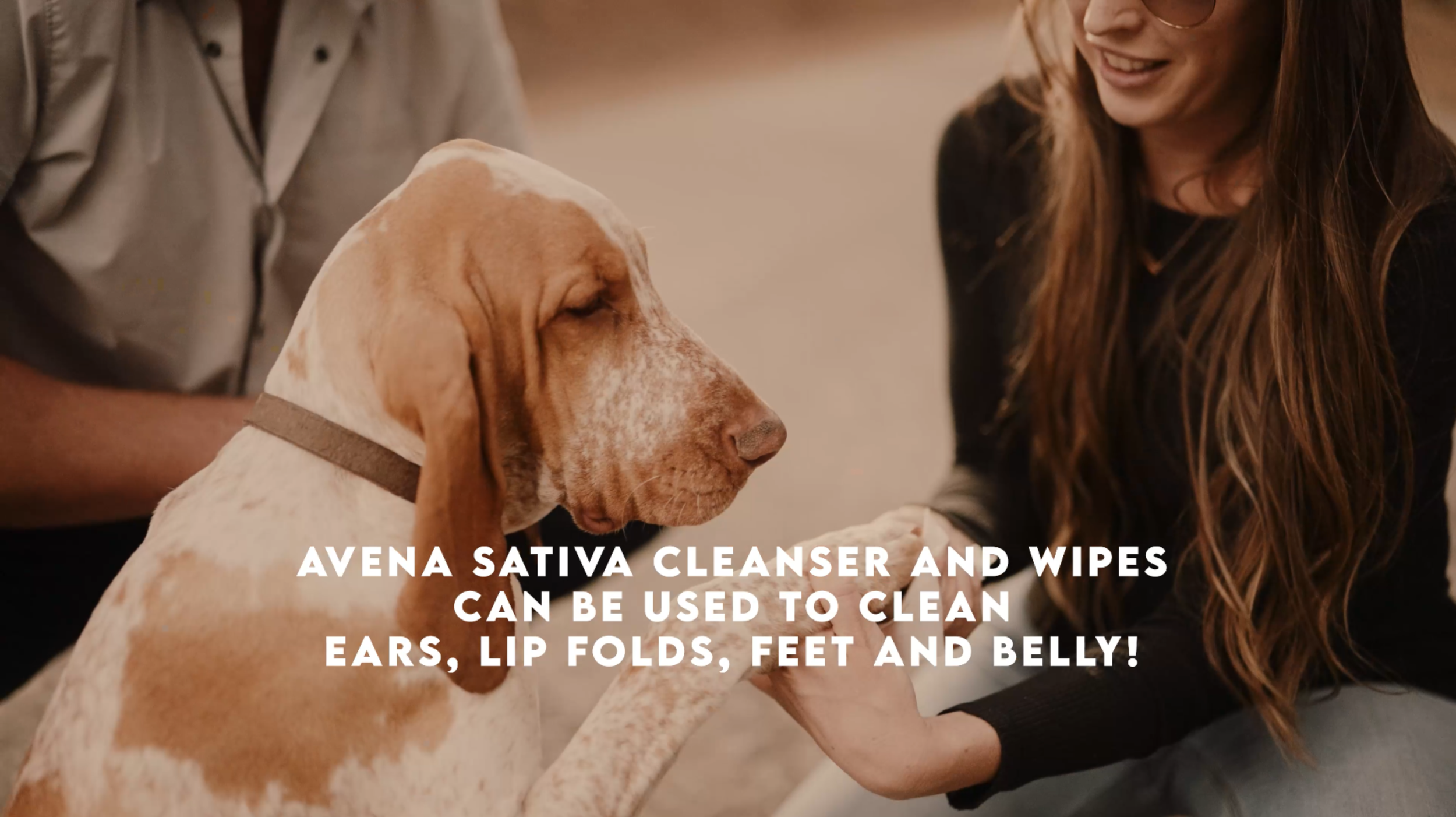 Screenshot 2024-03-02 at 3.07.38 PM.png