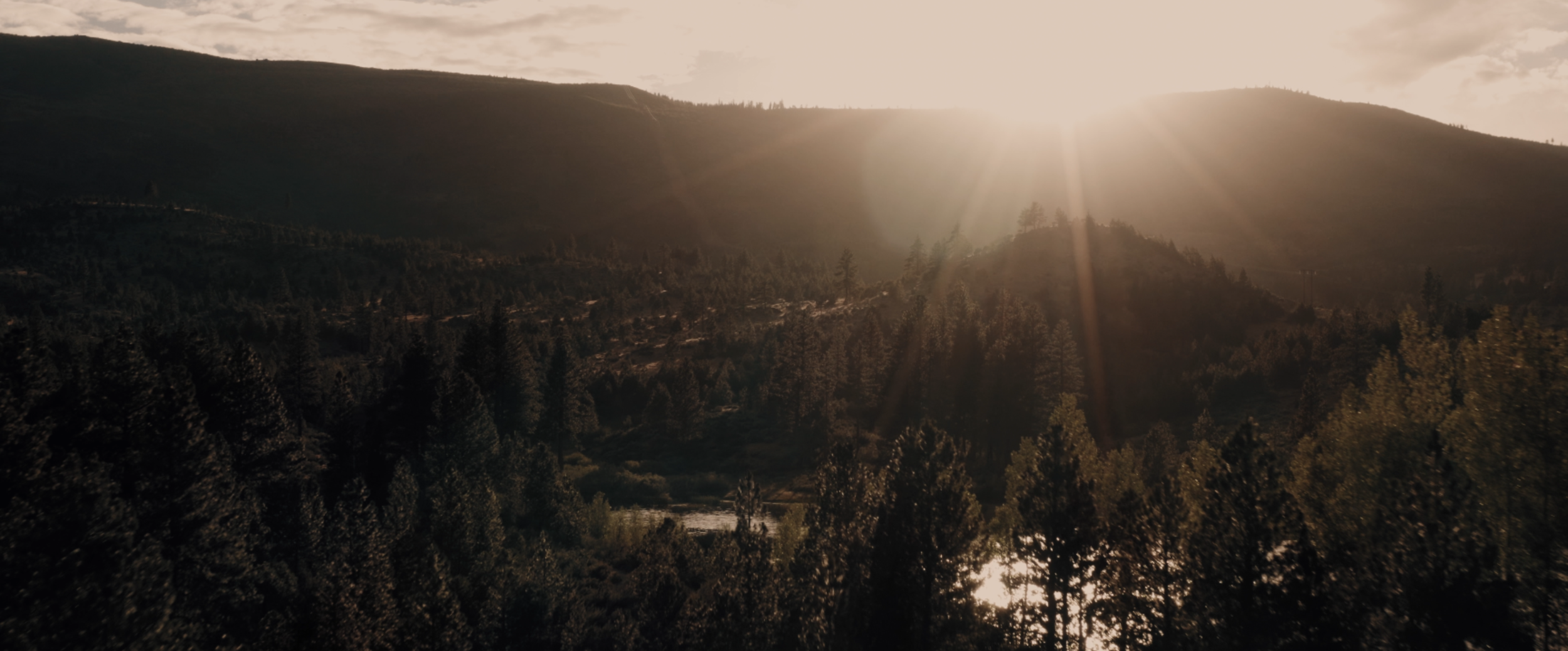 Screenshot 2024-03-02 at 2.48.30 PM.png