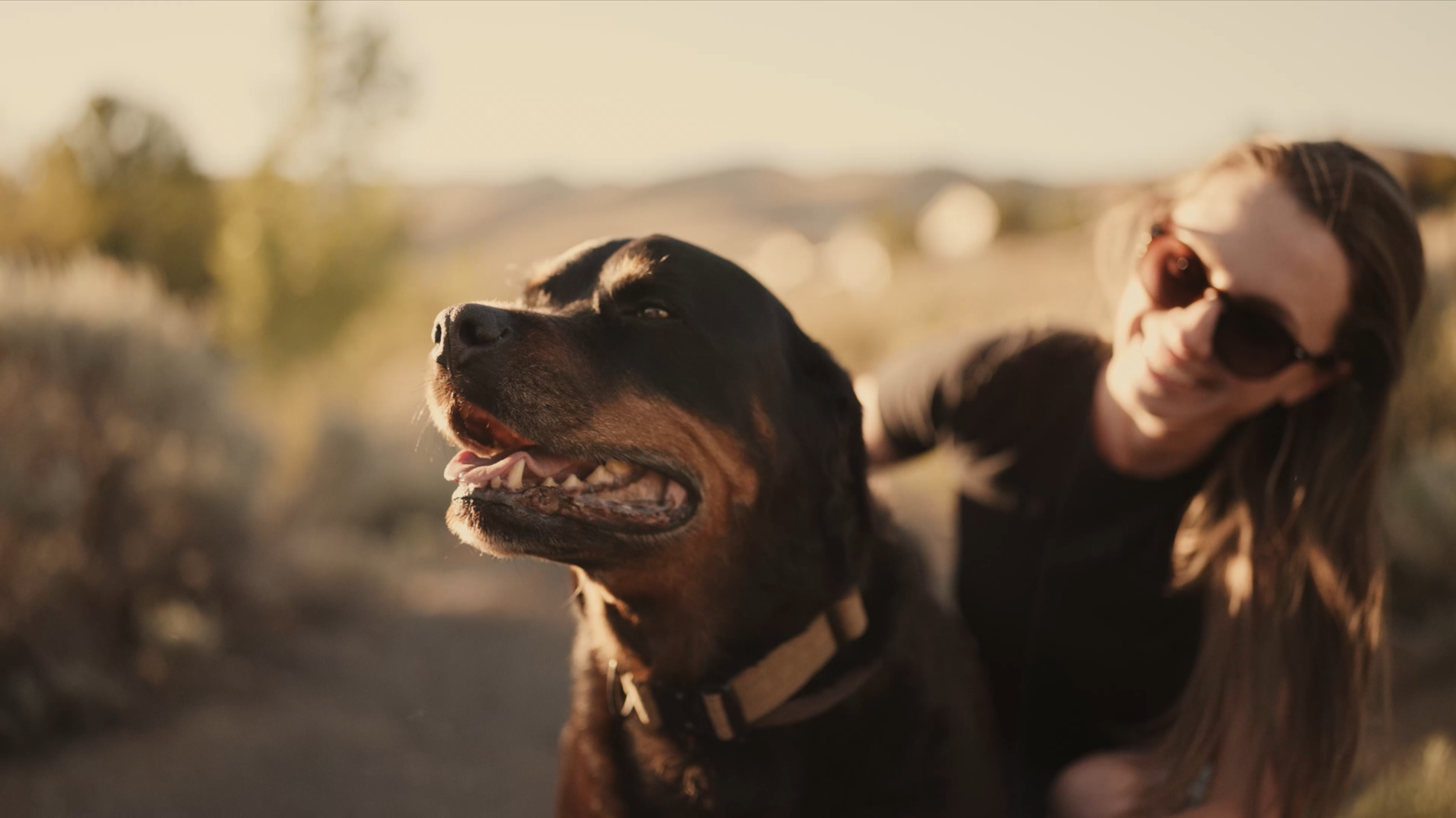 Screenshot 2024-03-02 at 3.09.37 PM.png