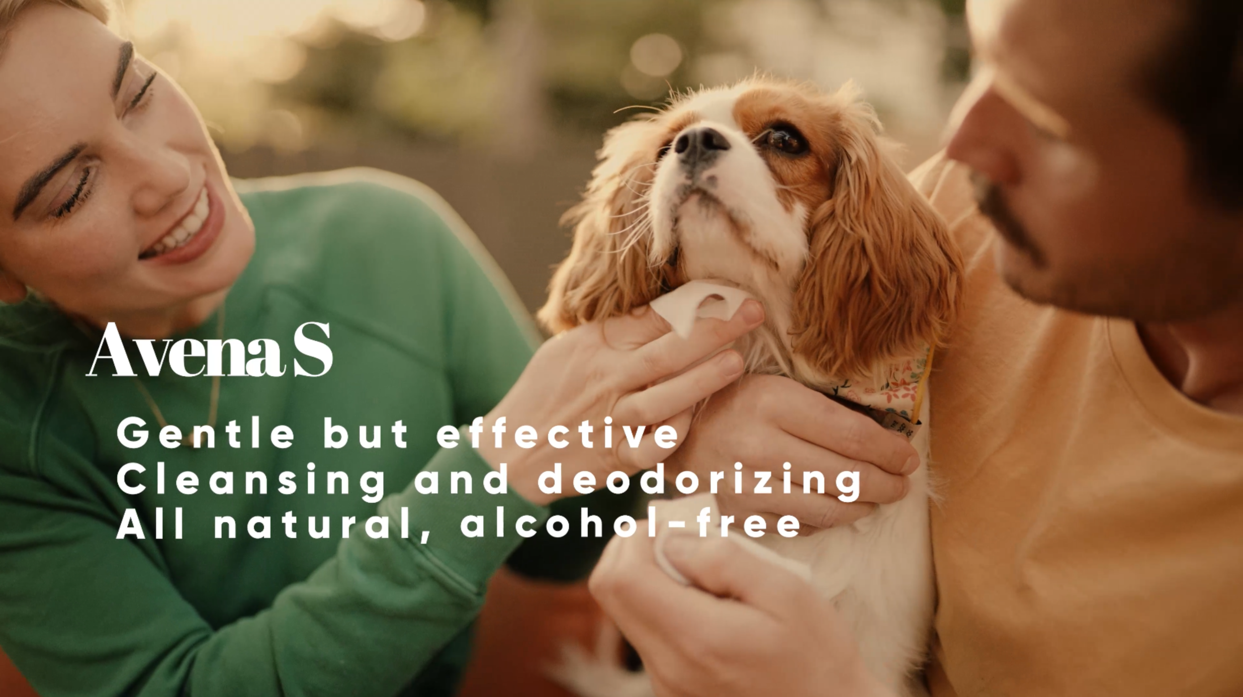 Screenshot 2024-03-02 at 3.07.09 PM.png