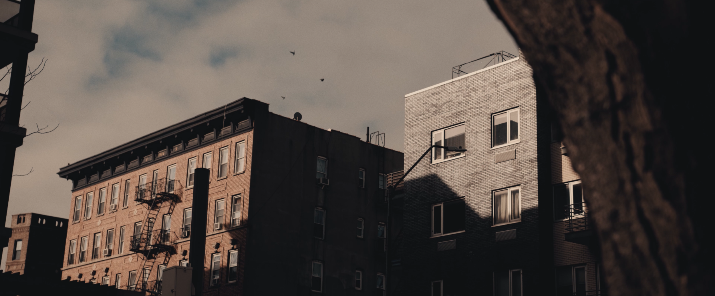 Screenshot 2024-03-02 at 3.11.28 PM.png