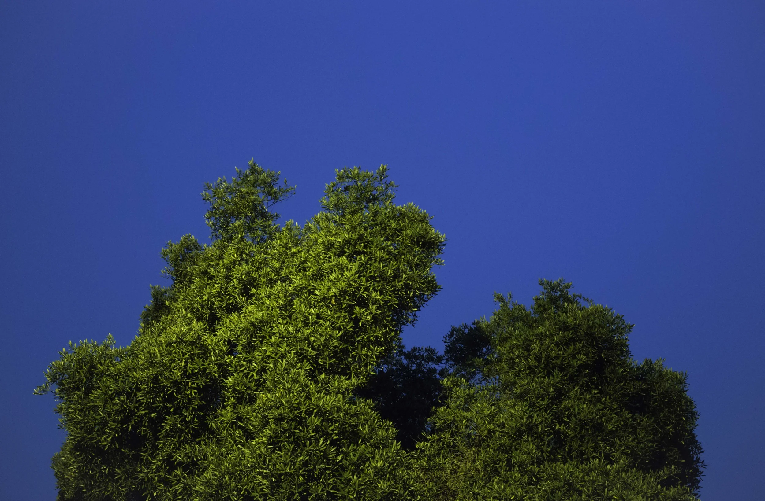 Tompkins-20150910-25.jpg