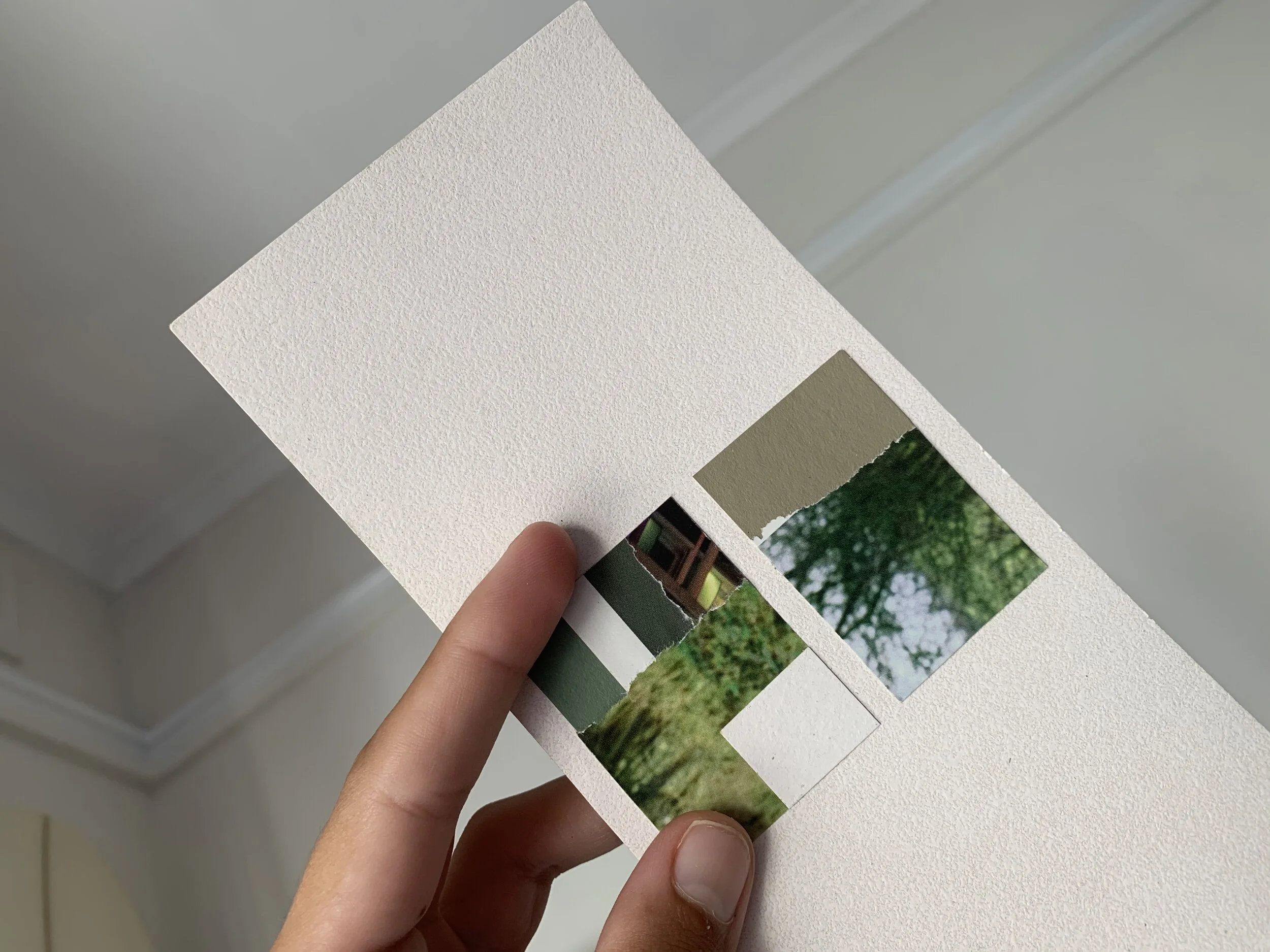 Nature | Paper collage 