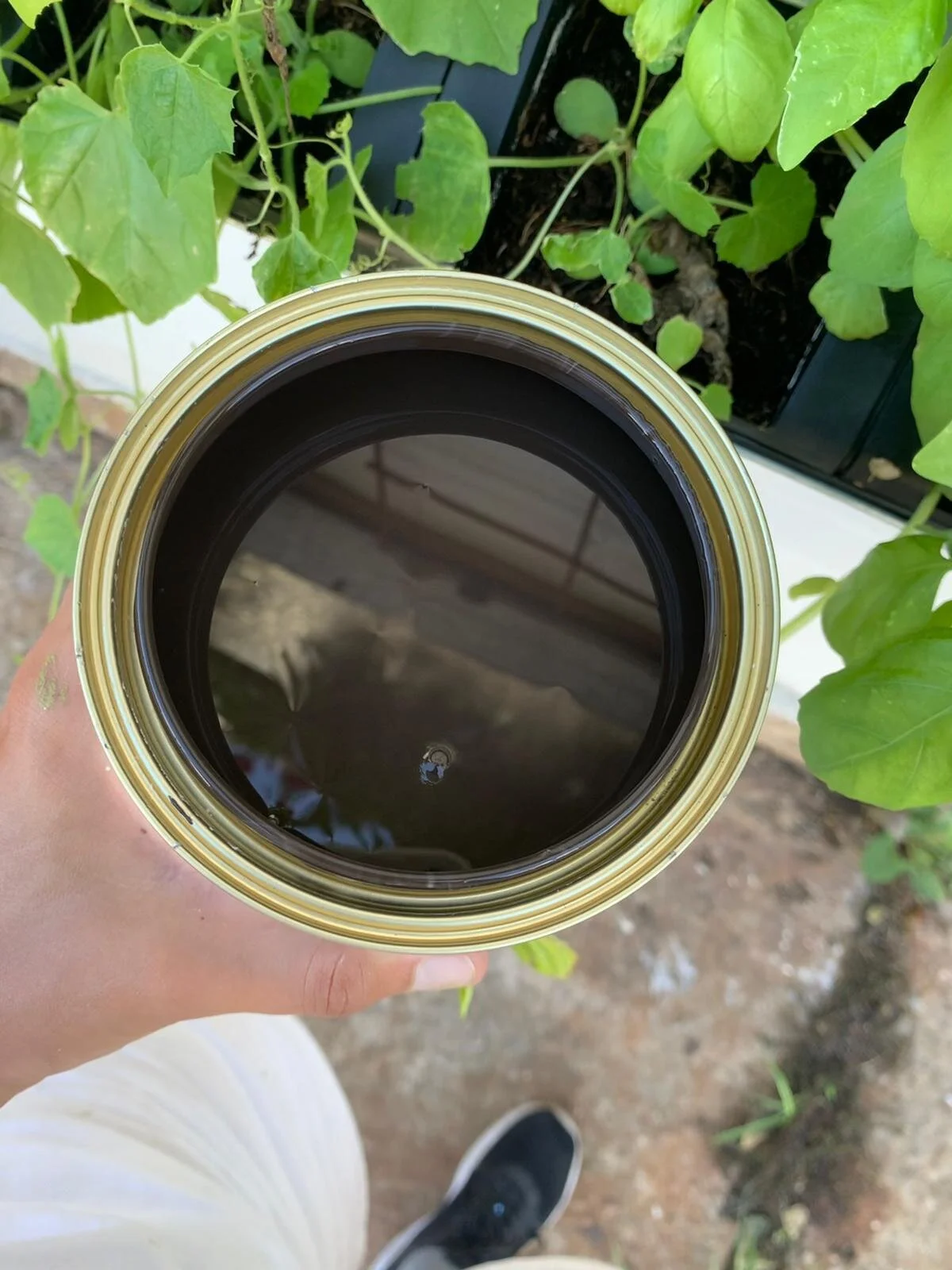 WhatsApp Image 2021-01-25 at 2.12.14 PM.jpeg