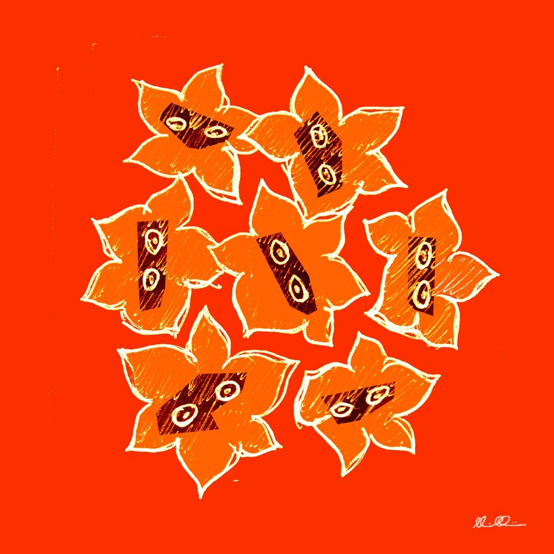 Little Bougainvillea Fugitives Available in different colours