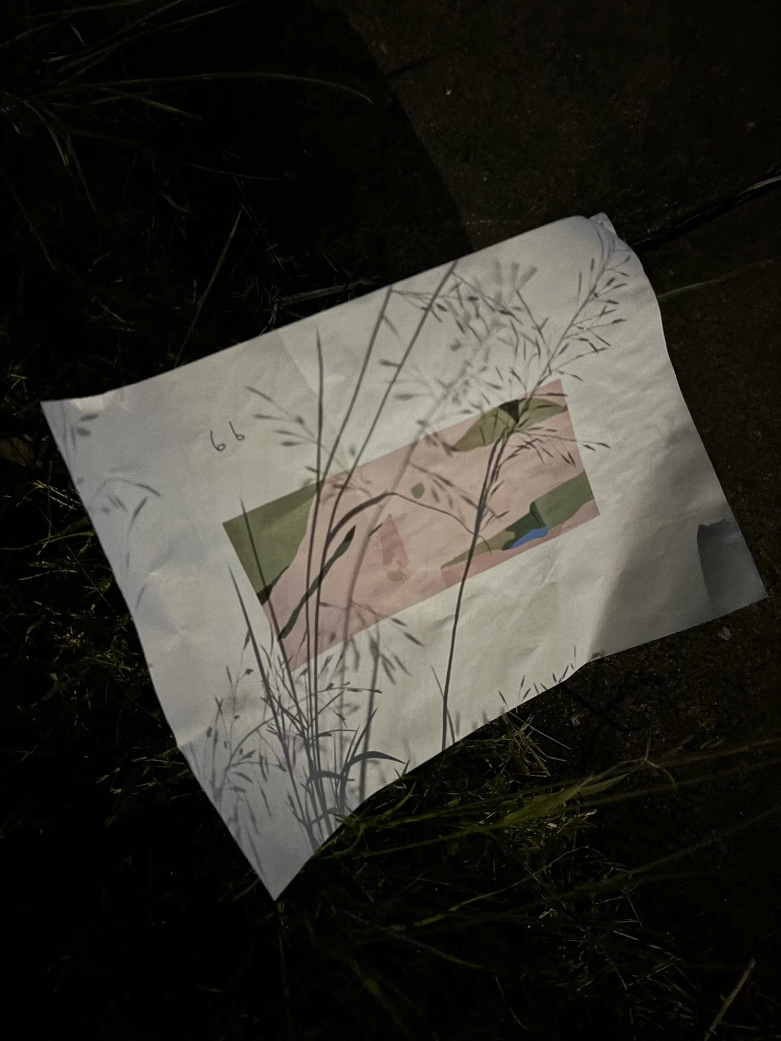 IMG_1364.JPEG
