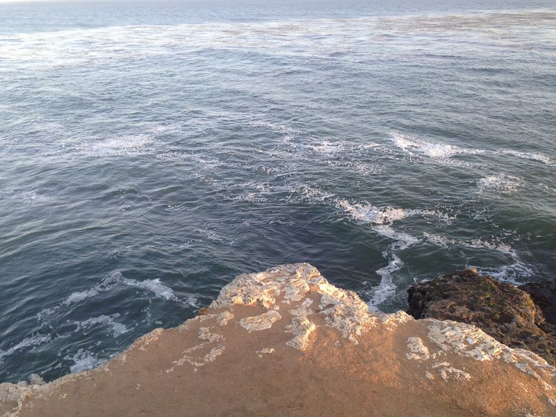 Writing the Way Home