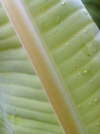 2012 Is In the Details