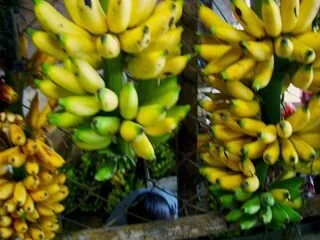 N Is for New Year's Abundance