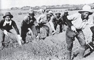 F is for the Filipino American Farmer