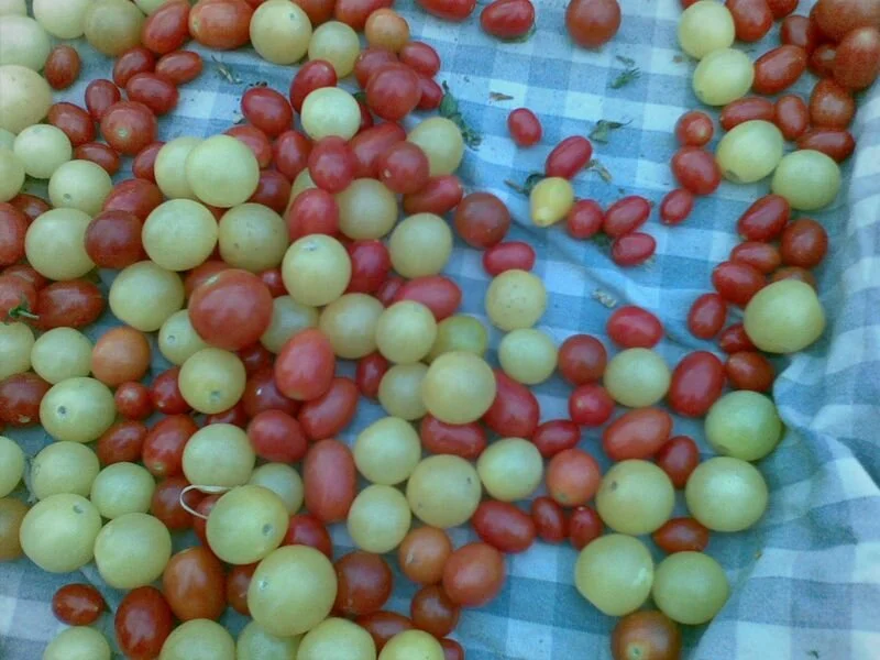 The Challenge - 26 Days, 26 Letters, 26 Kwentos