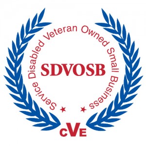 SDVOSB-CVE-Logo-300x300.jpg