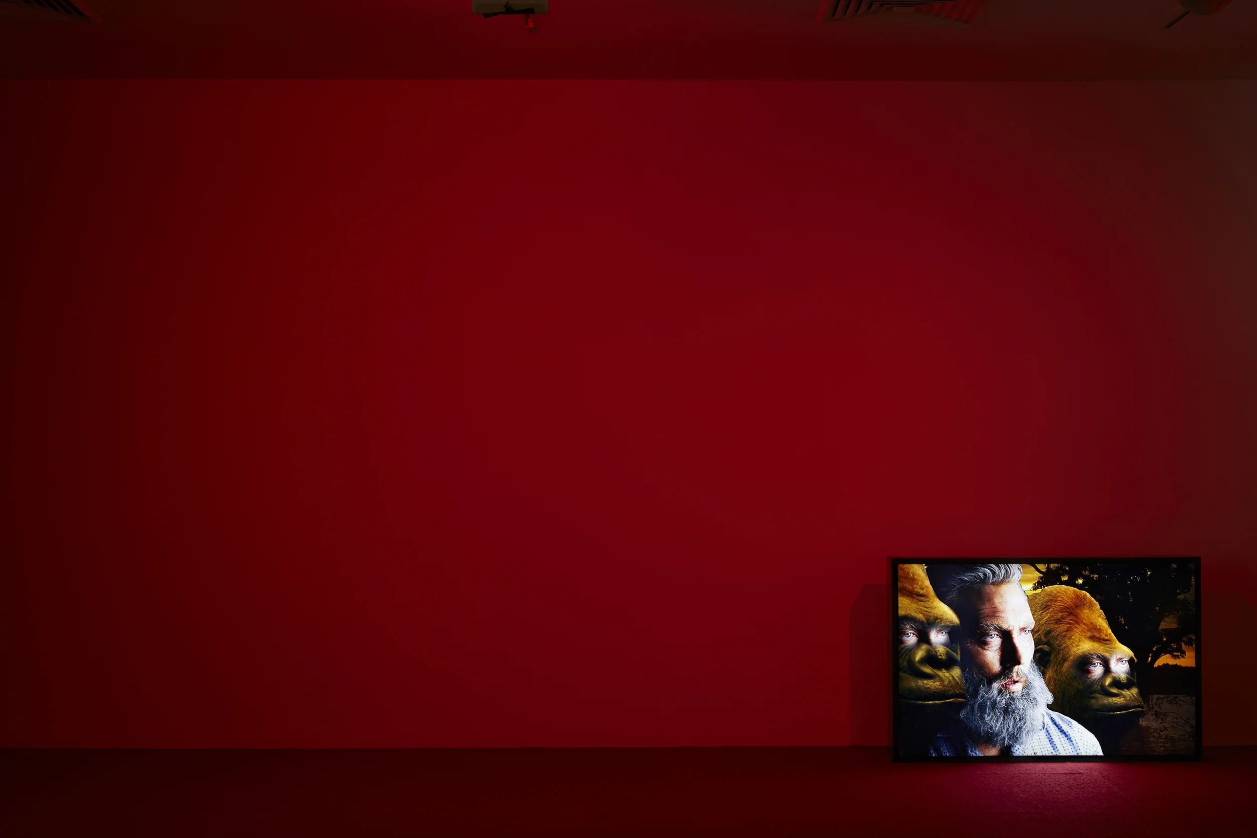 RumJungleInstall2-087.jpg