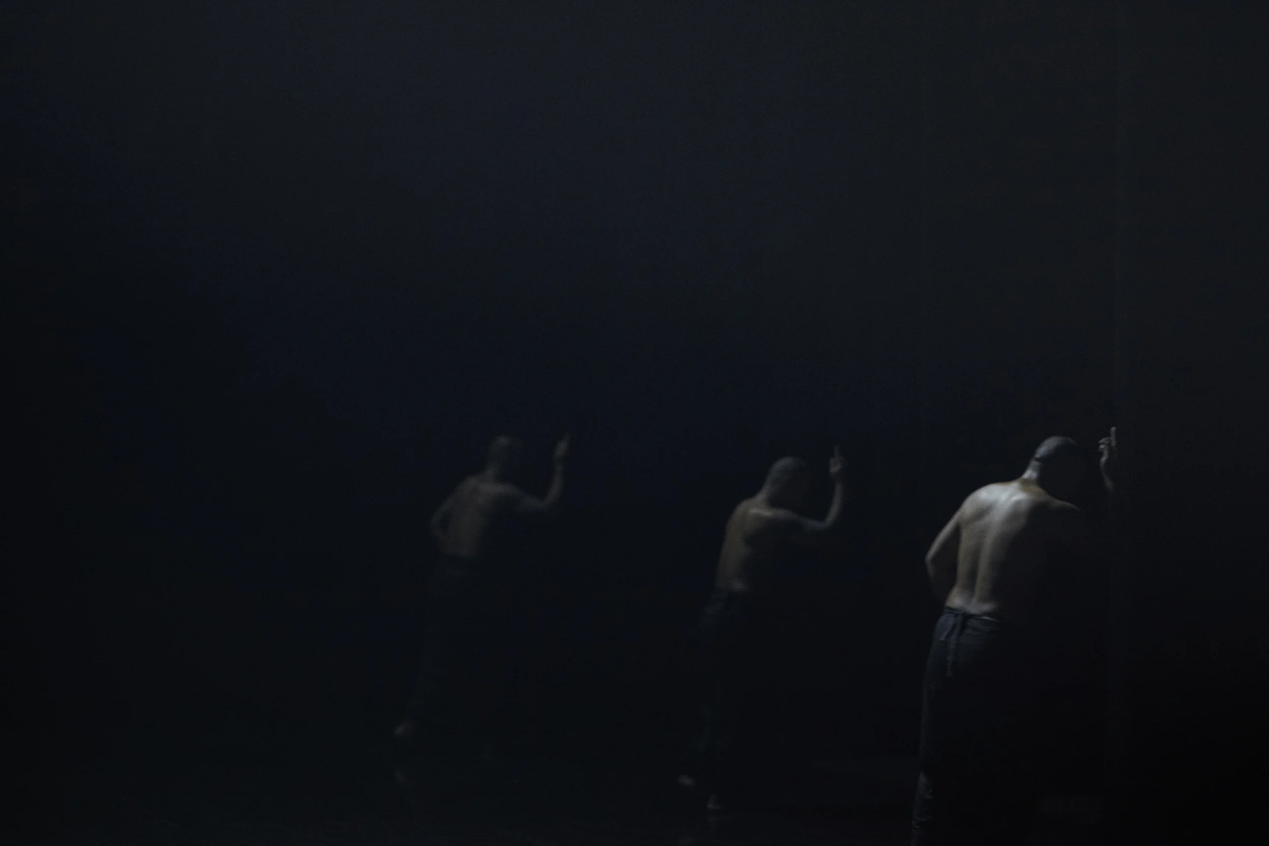 BirdsWithSkyMirrors-125.jpg