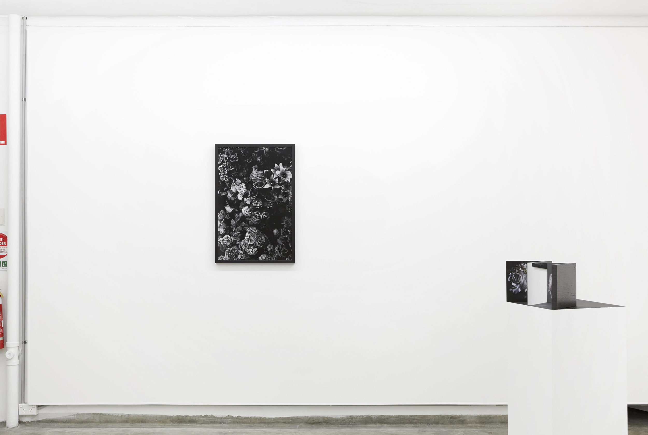 stilllife-3.jpg