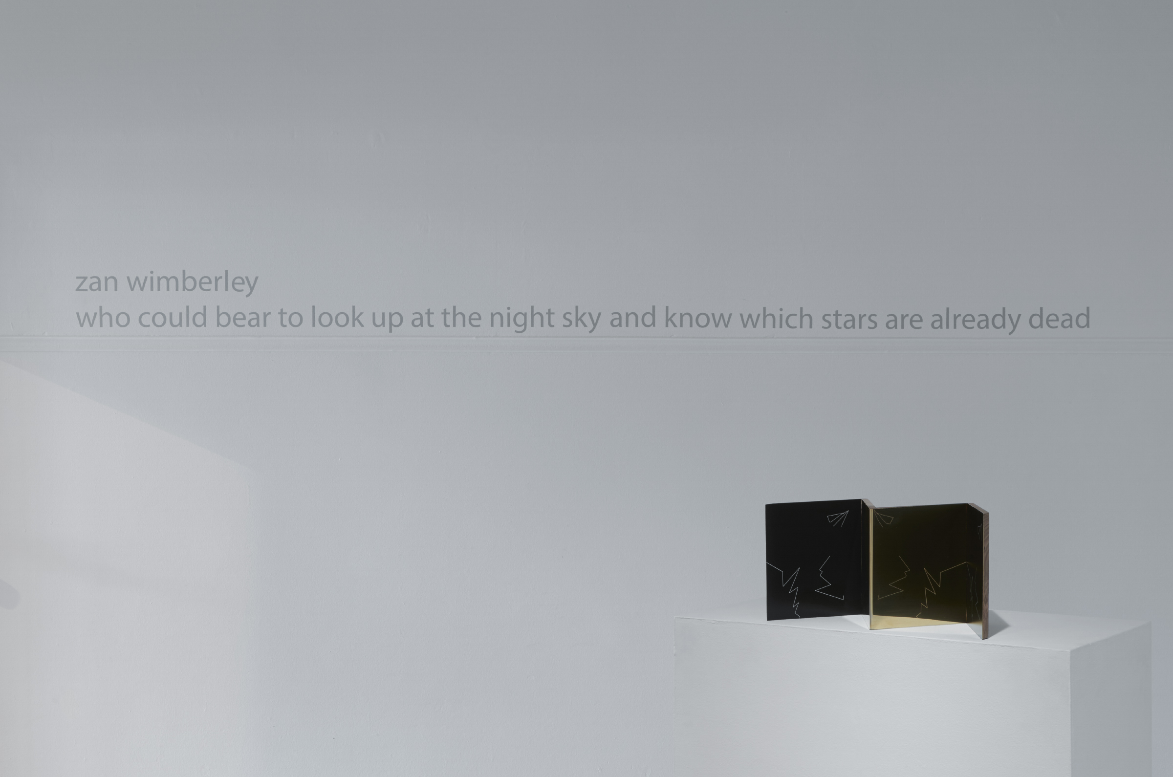 WHO COULD BEAR TO LOOK UP AT THE NIGHT SKY AND KNOW WHICH STARS ARE ALREADY DEAD