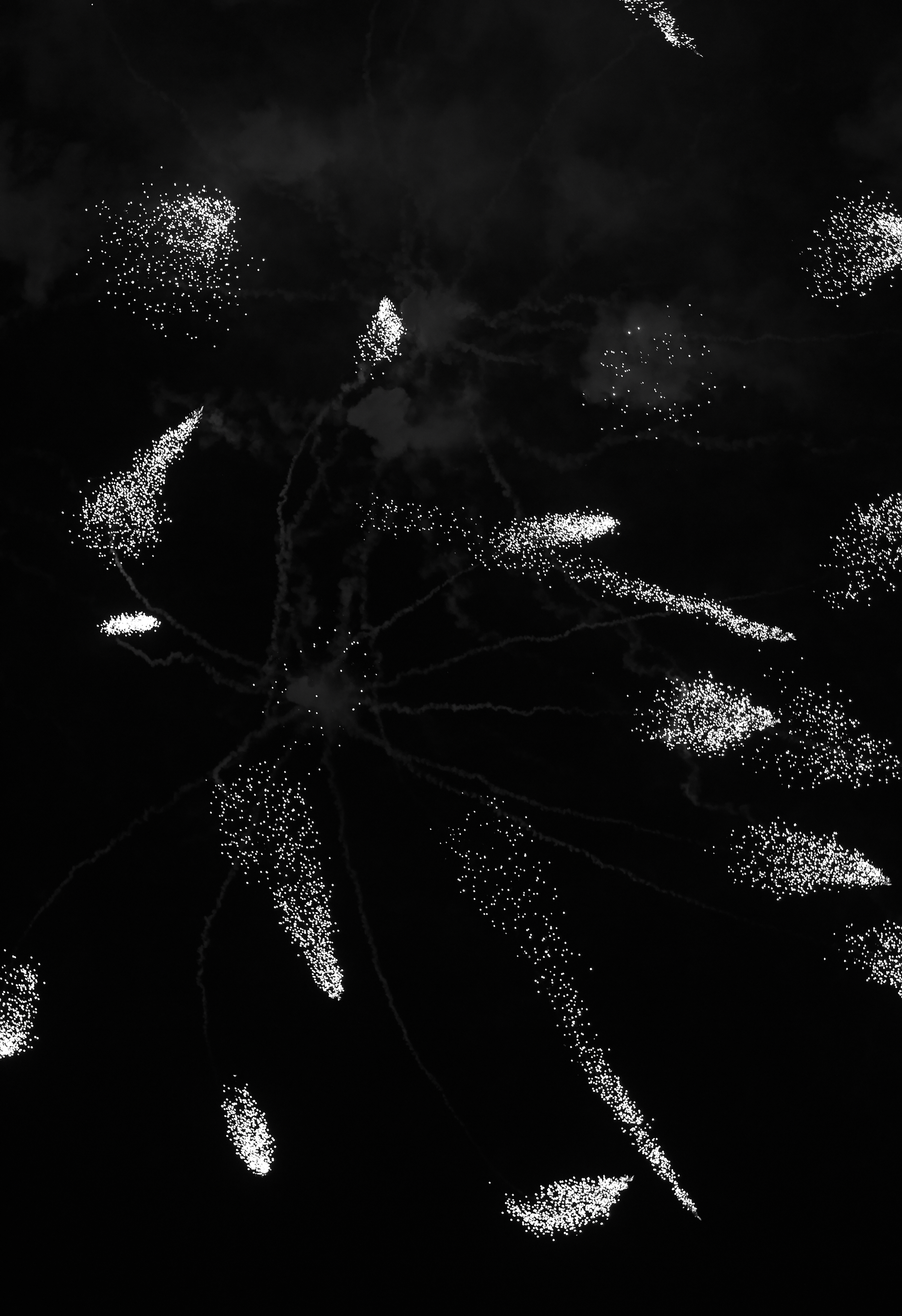 Idreamt-XVI.jpg