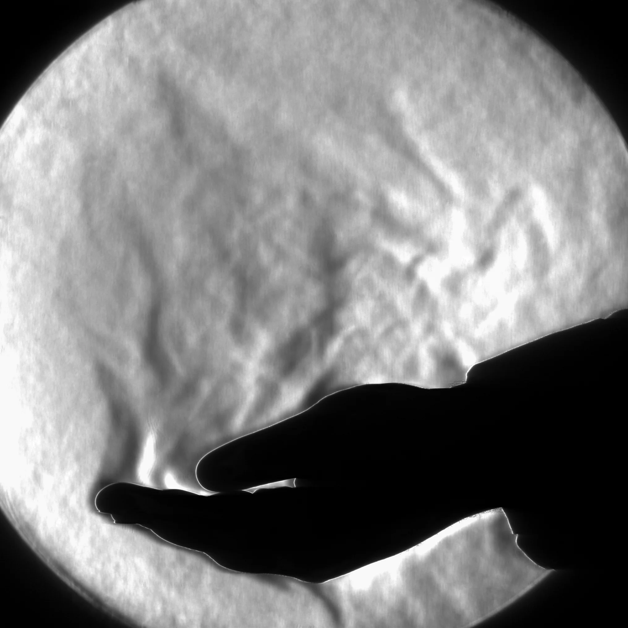 Image 8: Example of Scientific Photo Technique Schlieren imaging for flow visualisation, showing the heat coming off a models hand.