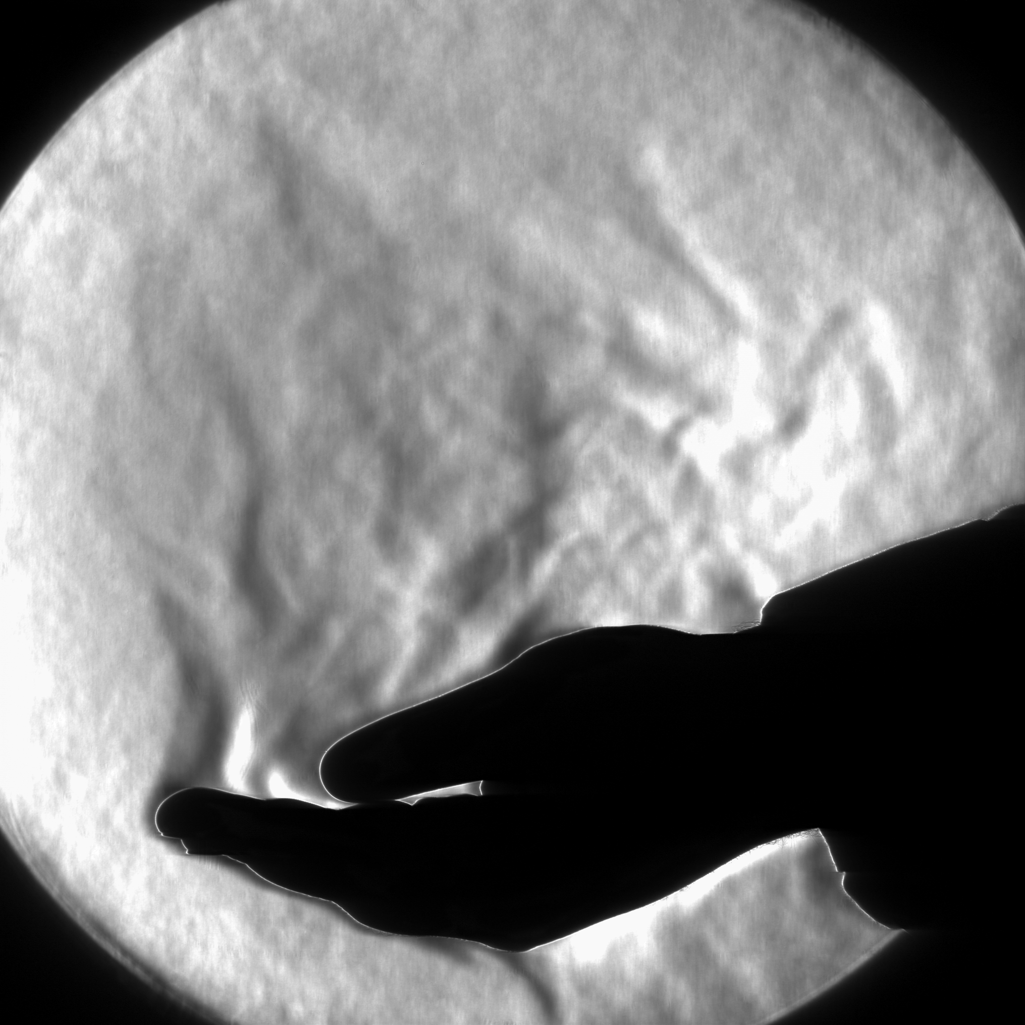 Image 18: Example of Scientific Photo Technique Schlieren imaging for flow visualisation, showing the heat coming off a models hand.